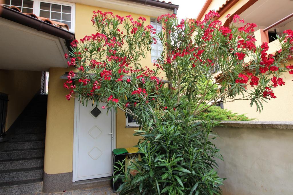 Villa Ambiente Pjescana Uvala Exterior photo