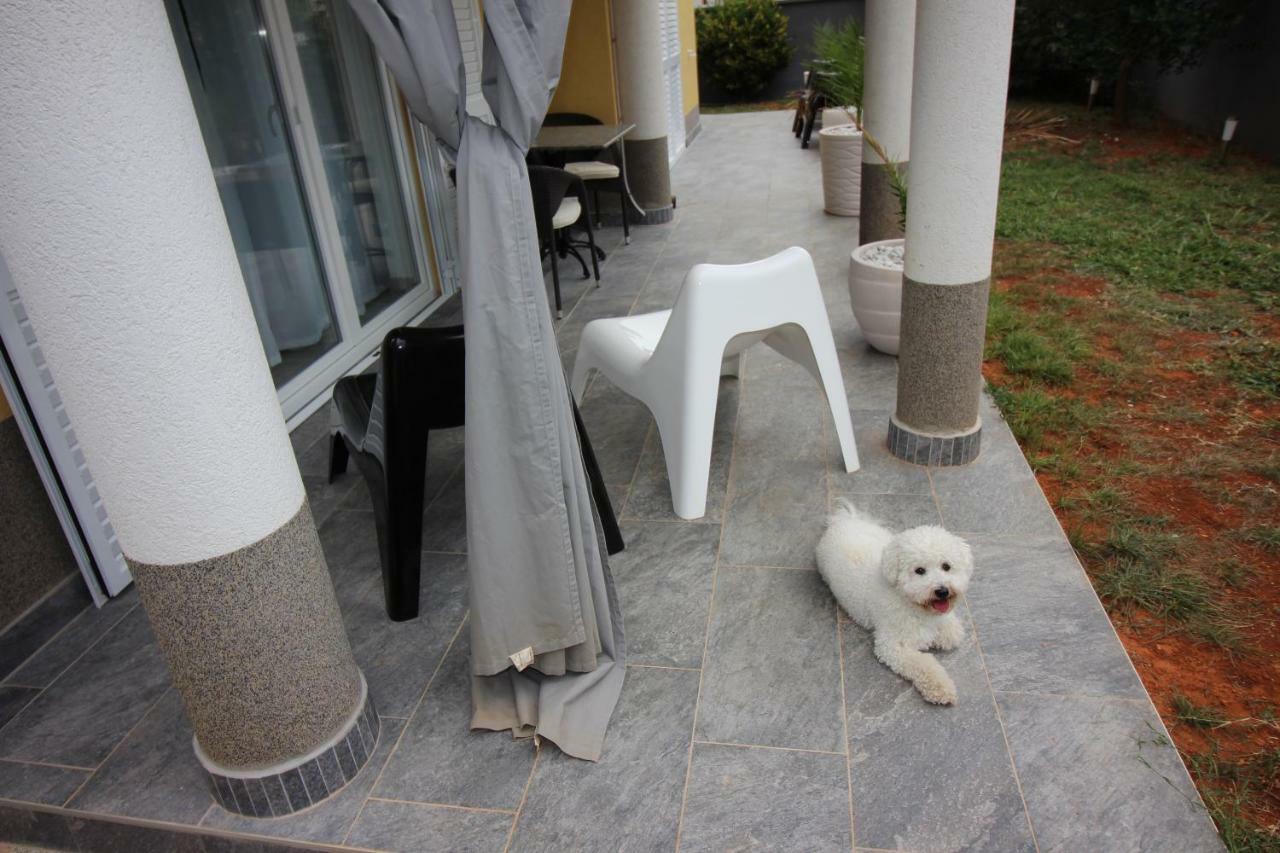 Villa Ambiente Pjescana Uvala Exterior photo